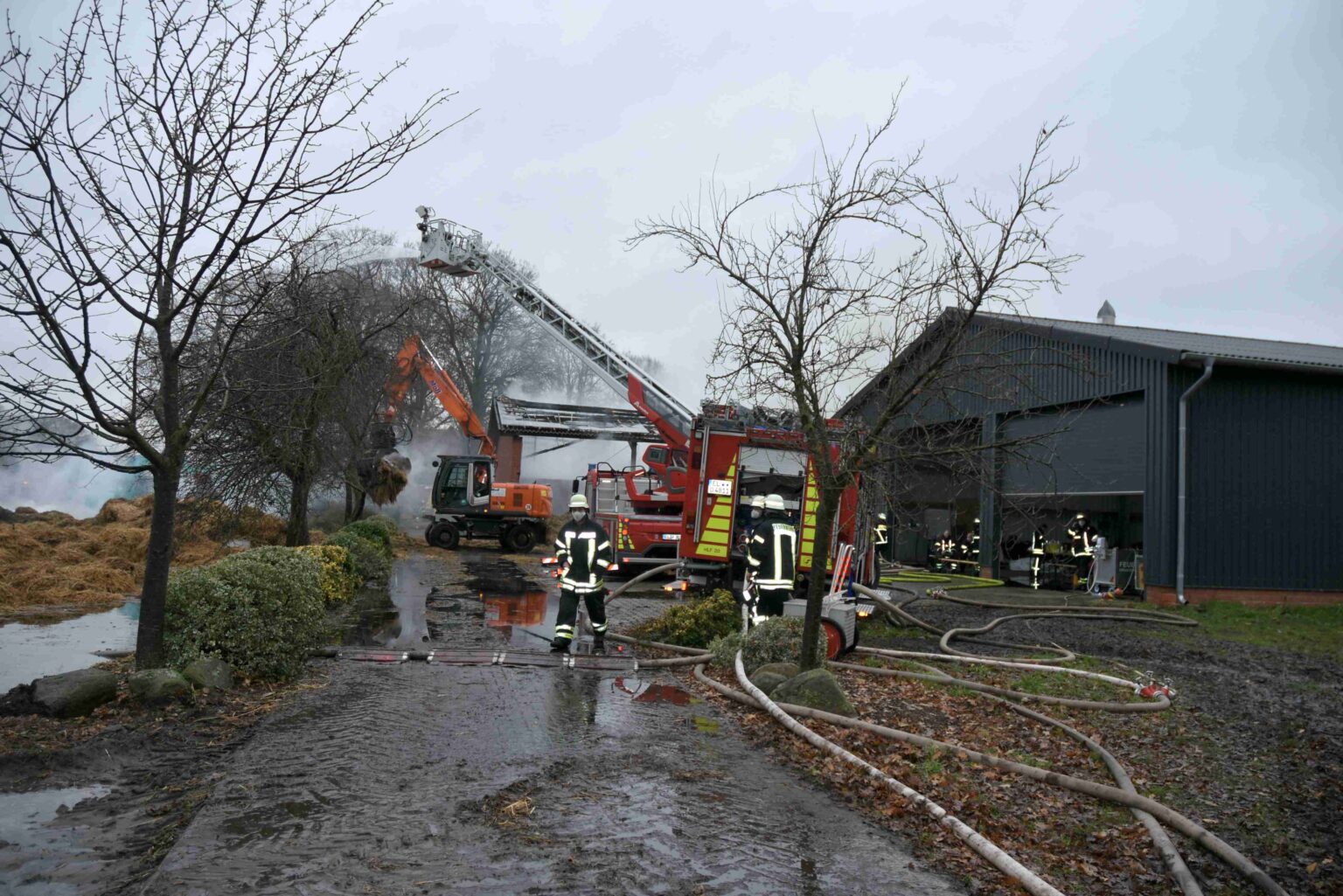 Mindestens zehn Kälber bei Scheunenbrand in Lingen