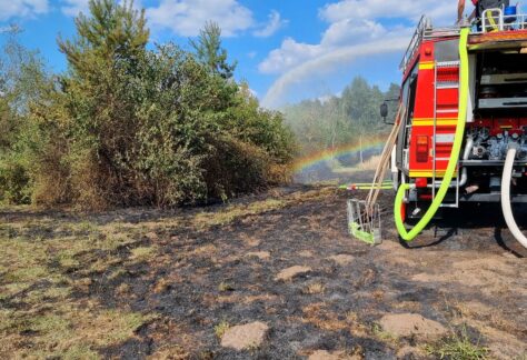 300 Quadratmeter Wiese in Suddendorf in Brand geraten