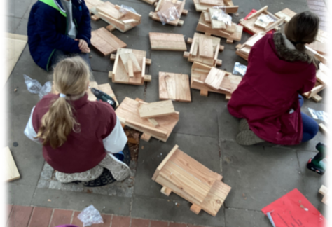 NAJU Süsteresch startet Artenschutzprojekt für Fledermäuse
