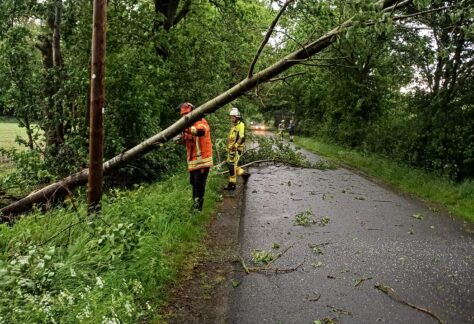 Feuerwehr Werlte rückt wegen Sturm zu neun wetterbedingten Einsätzen aus